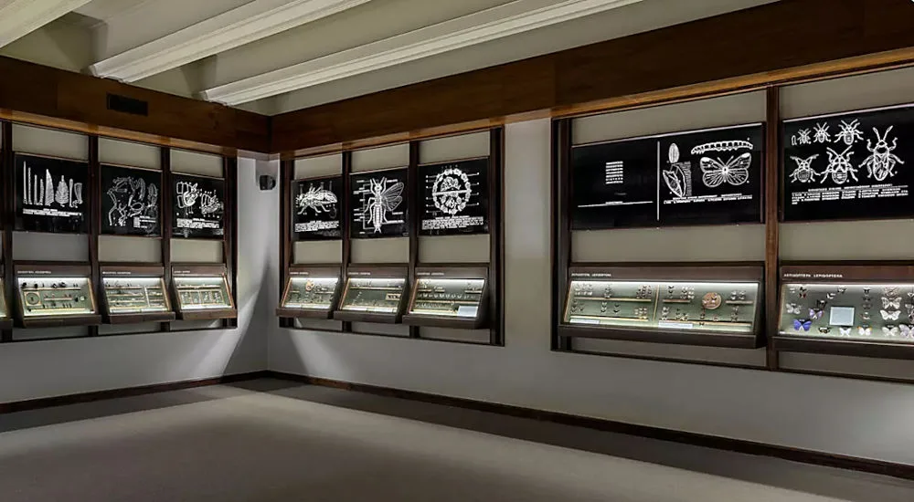 goulandris-museum2 A part of the Natural History Exhibition inside the National Museum of Natural History Goulandris