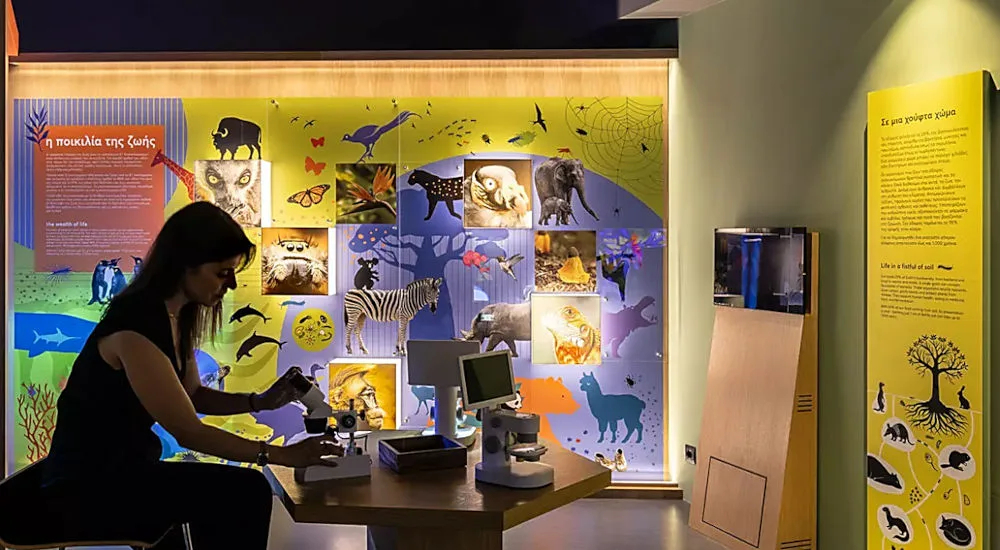 goulandris-museum3 Interactive exhibition at the National Museum of Natural History Goulandris