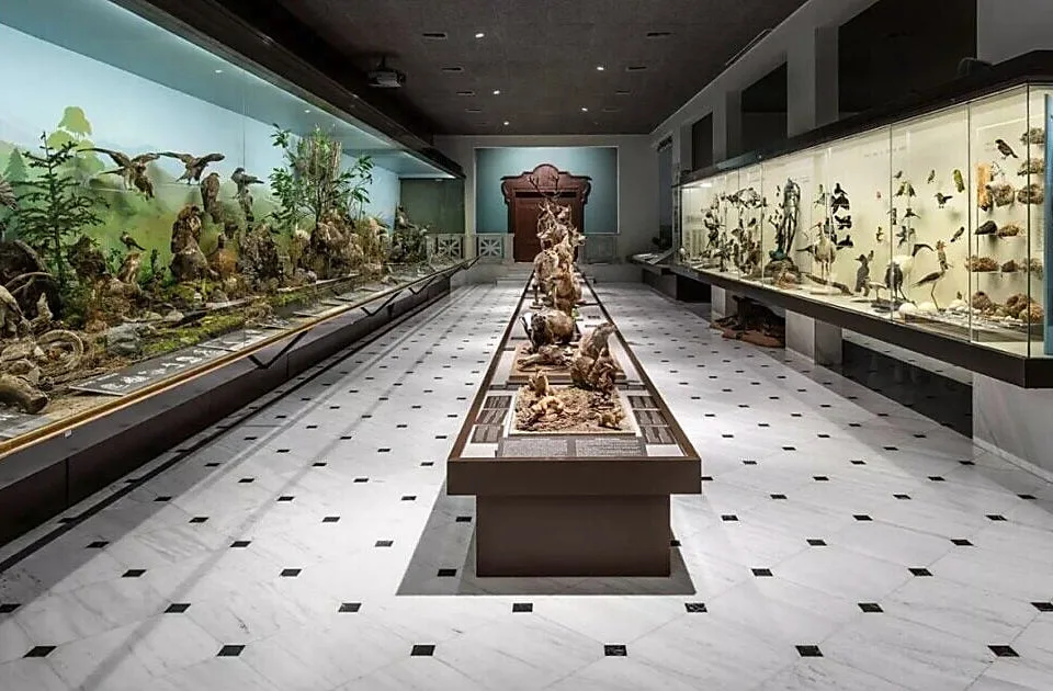 Interior view of the National Museum of Natural History Goulandris in Kifissia, Athens.